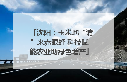 沈阳：玉米地“请”来赤眼蜂 科技赋能农业助绿色增产