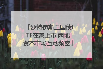 沙特伊斯兰国债ETF在港上市 两地资本市场互动频密