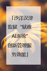 沙洋汉津监狱“狱政AI系统”创新管理服务效能