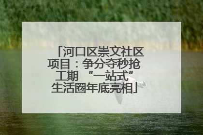 河口区崇文社区项目：争分夺秒抢工期 “一站式”生活圈年底亮相