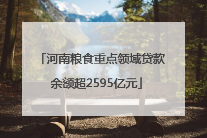 河南粮食重点领域贷款余额超2595亿元