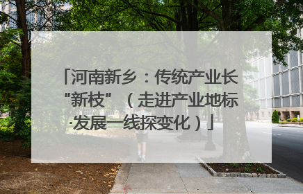 河南新乡：传统产业长“新枝”（走进产业地标·发展一线探变化）