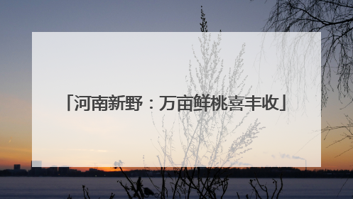 河南新野：万亩鲜桃喜丰收