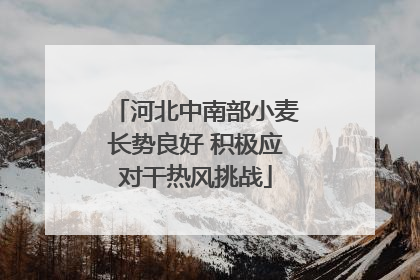 河北中南部小麦长势良好 积极应对干热风挑战