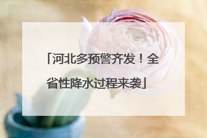 河北多预警齐发！全省性降水过程来袭