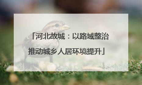 河北故城：以路域整治推动城乡人居环境提升