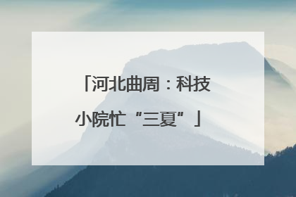 河北曲周：科技小院忙“三夏”