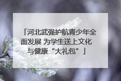河北武强护航青少年全面发展 为学生送上文化与健康“大礼包”
