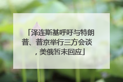 泽连斯基呼吁与特朗普、普京举行三方会谈，美俄暂未回应
