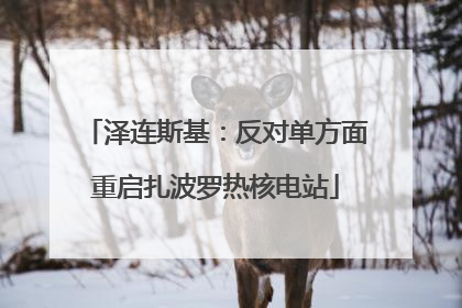泽连斯基：反对单方面重启扎波罗热核电站