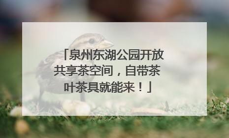 泉州东湖公园开放共享茶空间，自带茶叶茶具就能来！