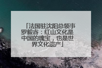 法国驻沈阳总领事罗毅睿：红山文化是中国的瑰宝，也是世界文化遗产
