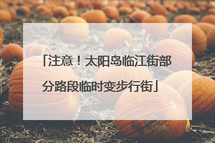 注意！太阳岛临江街部分路段临时变步行街