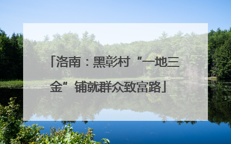 洛南：黑彰村“一地三金”铺就群众致富路