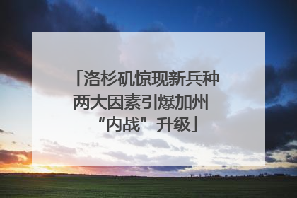 洛杉矶惊现新兵种 两大因素引爆加州“内战”升级