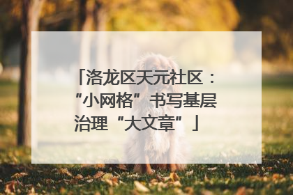 洛龙区天元社区：“小网格”书写基层治理“大文章”