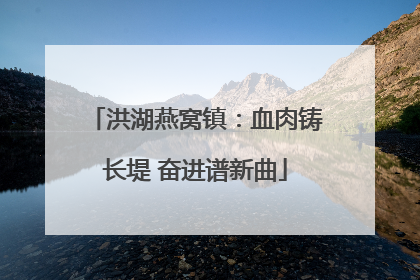 洪湖燕窝镇：血肉铸长堤 奋进谱新曲