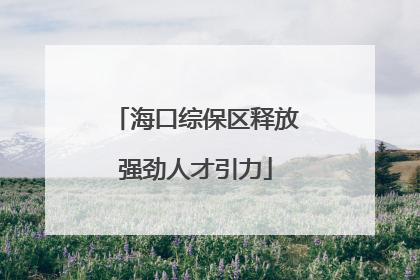 海口综保区释放强劲人才引力