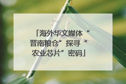 海外华文媒体“晋南粮仓”探寻“农业芯片”密码