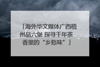 海外华文媒体广西梧州品六堡 探寻千年茶香里的“乡愁味”