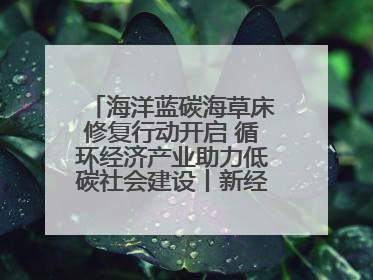 海洋蓝碳海草床修复行动开启 循环经济产业助力低碳社会建设丨新经济观察