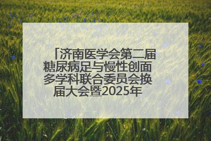 济南医学会第二届糖尿病足与慢性创面多学科联合委员会换届大会暨2025年学术年会成功举行