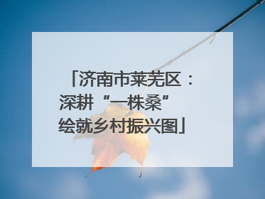 济南市莱芜区：深耕“一株桑” 绘就乡村振兴图