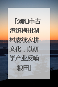 浏阳市古港镇梅田湖村赓续农耕文化，以研学产业反哺粮田