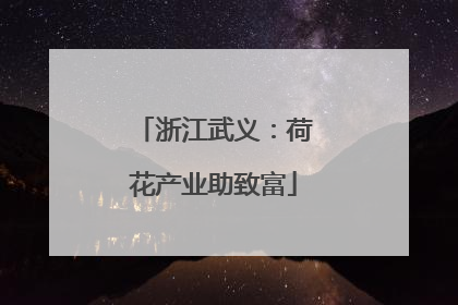 浙江武义：荷花产业助致富