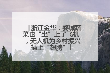 浙江金华：婺城蔬菜也“坐”上了飞机，无人机为乡村振兴插上“翅膀”
