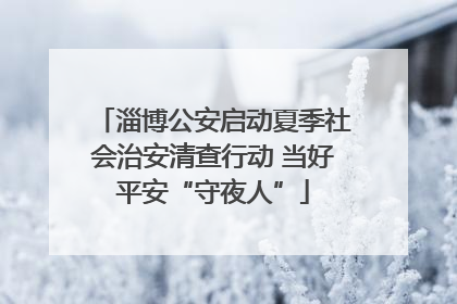 淄博公安启动夏季社会治安清查行动 当好平安“守夜人”