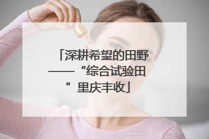 深耕希望的田野——“综合试验田”里庆丰收