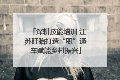 深耕技能培训 江苏盱眙打造“职”通车赋能乡村振兴