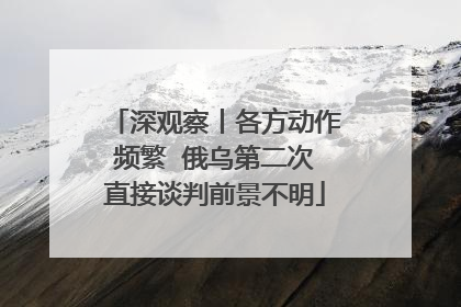 深观察丨各方动作频繁  俄乌第二次直接谈判前景不明
