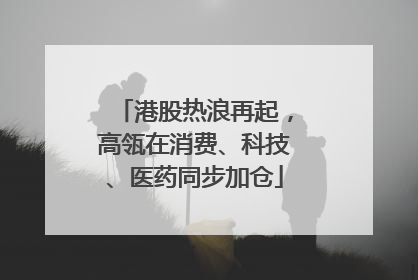 港股热浪再起，高瓴在消费、科技、医药同步加仓