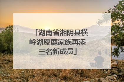 湖南省湘阴县横岭湖麋鹿家族再添三名新成员