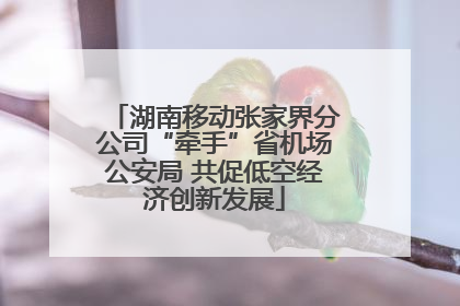 湖南移动张家界分公司“牵手”省机场公安局 共促低空经济创新发展