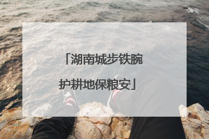 湖南城步铁腕护耕地保粮安