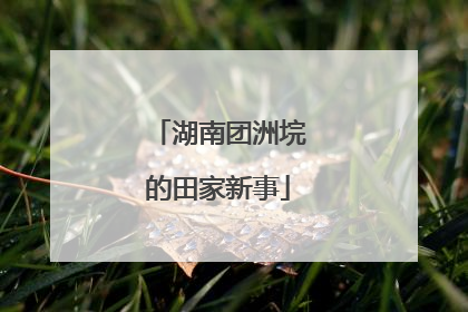 湖南团洲垸的田家新事