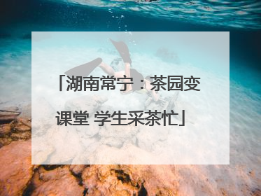 湖南常宁：茶园变课堂 学生采茶忙