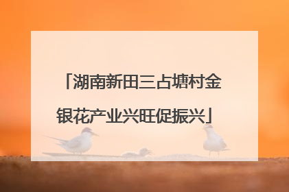 湖南新田三占塘村金银花产业兴旺促振兴