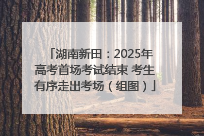 湖南新田：2025年高考首场考试结束 考生有序走出考场（组图）