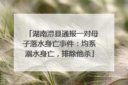 湖南澧县通报一对母子落水身亡事件：均系溺水身亡，排除他杀