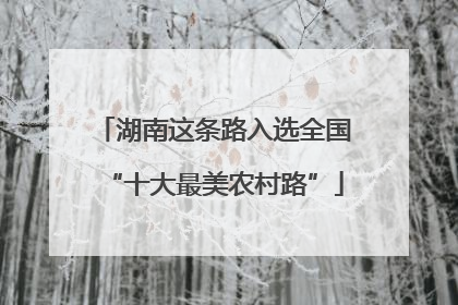 湖南这条路入选全国“十大最美农村路”