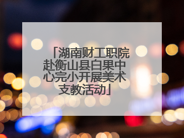 湖南财工职院赴衡山县白果中心完小开展美术支教活动