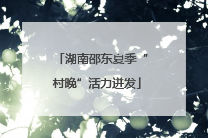 湖南邵东夏季“村晚”活力迸发