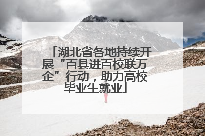 湖北省各地持续开展“百县进百校联万企”行动，助力高校毕业生就业