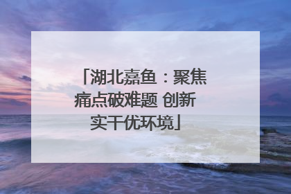 湖北嘉鱼：聚焦痛点破难题 创新实干优环境