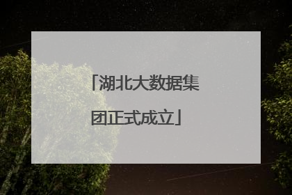 湖北大数据集团正式成立