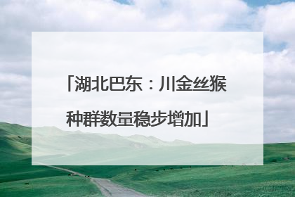 湖北巴东：川金丝猴种群数量稳步增加